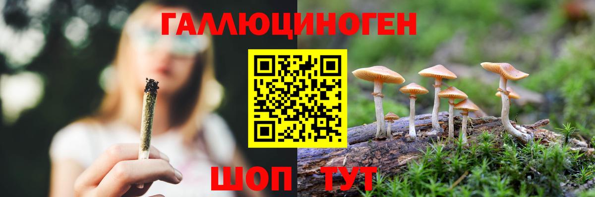 Галлюциногенные грибы Magic Shrooms  Вход с VPN  Кулебаки 